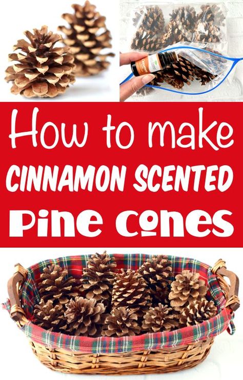 Fall Decor Ideas for the Home Pinecone Decorations Diy, Fall And Christmas Decor, Scented Pine Cones, Pine Cone Christmas Decorations, Diy Cinnamon, Scented Pinecones, Shabby Chic Diy Crafts, Fall And Christmas, Frugal Christmas