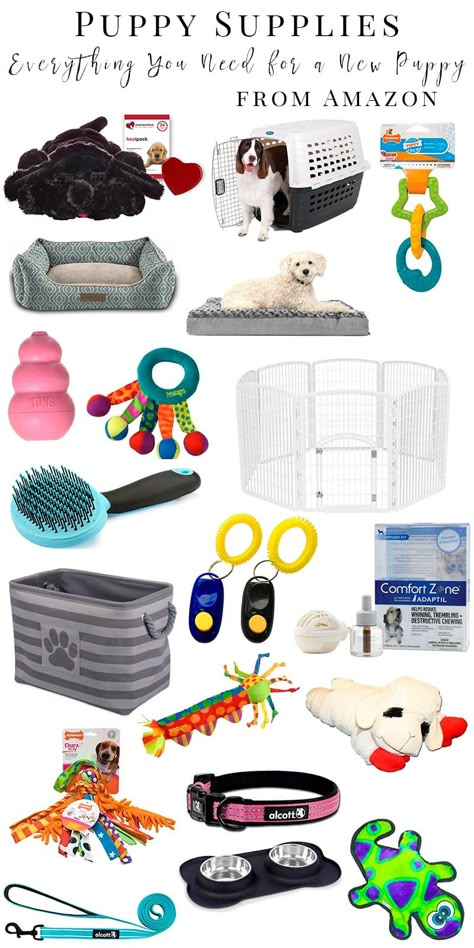 Puppy Supplies: What You Need for a New Puppy Before They Arrive Pet Supplies Organization, Dog Supplies List, New Puppy Checklist, Puppy Checklist, Poodle Puppy Standard, Puppy Accessories, Dog Essentials, Puppy Supplies, Poodle Puppy