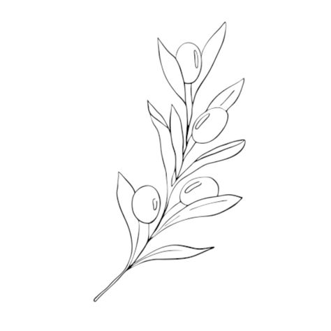 Olive Tattoo, Olive Branch Tattoo, Branch Drawing, Girl Shoulder Tattoos, Branch Tattoo, Tattoo Style Drawings, Soyut Sanat Tabloları, Classy Tattoos, Leaf Drawing