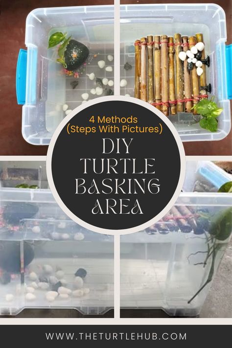 Creating a DIY turtle basking area is a great way to provide a comfortable and safe space for your pet turtle to dry off and soak up some UV rays. In this article, I am going to show you 4 types of DIY turtle basking area: Above the tank basking platform Hanging basking platform Basking area for turtle pond Floating basking area for turtles You can make whichever one you prefer most! Turtle Basking Area, Turtle Tank Setup, Diy Turtle, Turtle Dock, Painted Turtle, Red Eared Slider, Turtle Pond, Aquatic Turtles, Pet Turtle