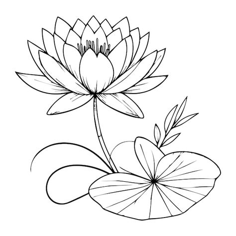 Easy water lily drawing for kids water l... | Premium Vector #Freepik #vector #nature #background #black #summer Easy Water Lily Drawing, Water Flowers Drawing, Water Lily Outline, Water Lily Drawing, Water Lily Art, Reference Things, Lily Drawing, Water Lilies Art, Lilies Drawing