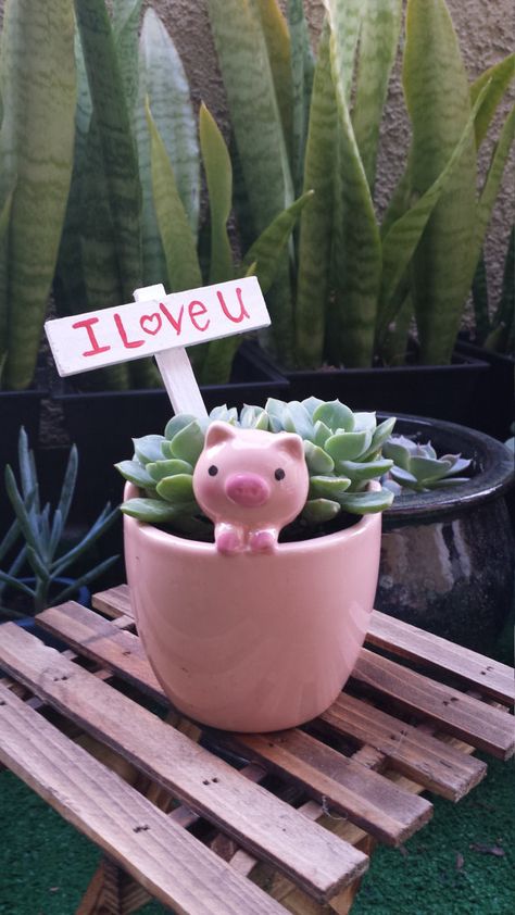 Pig Planter, Baby Pigs, Pot Plant, Funny Things, Pigs, Custom Sign, Succulent, Planter Pots, I Love