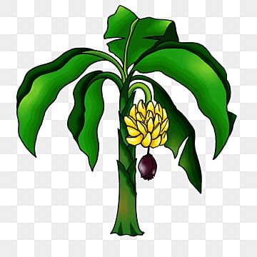 clipart pohon pisang,sederhana,daun hijau,floral,pisang,pohon pisang,clipart Tree Clipart, Banana Tree, Tree Drawing, Cartoon Jokes, Aesthetic Movies, Png Clipart, Clip Art, Frame, Floral