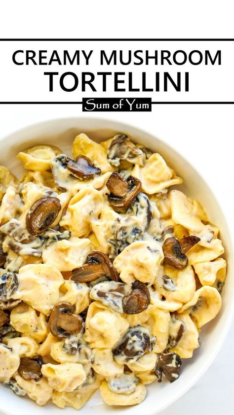 Creamy Mushroom Tortellini Creamy Mushroom Tortellini, Tortellini Sauce Recipes, Tortellini With Mushrooms, Mushroom Tortellini, Recipe With Mushrooms, Cheese Tortellini Recipes, Easy Pasta Recipe, Mushroom Recipes Pasta, Creamy Mushroom Pasta