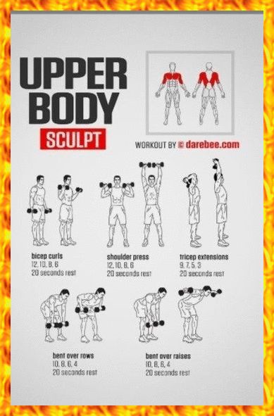 Body For Life Workout Sheets, Tricep Workout Dumbell, Shoulder Press Dumbell, Upper Body Workout For Men, Workout For Men Gym, Workout Sheets, Workout Gym Routine, Gym Workout Guide, Full Body Dumbbell Workout