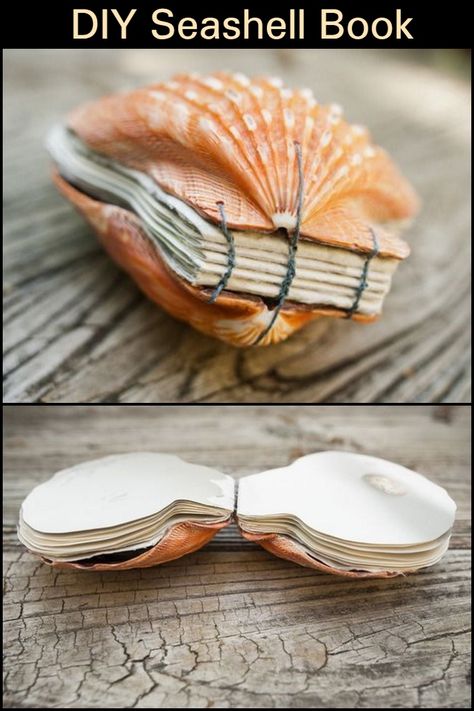 Seashell Book, Art Coquillage, Backyard Oasis Ideas, Pools Backyard, Backyard Beach, Shell Crafts Diy, Cadeau Diy, Seashell Art, Beach Crafts