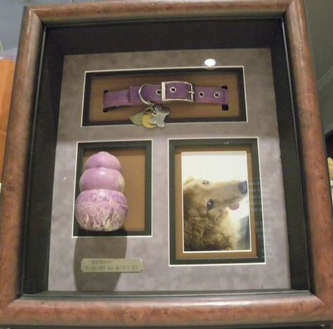 Pet Memorial Ideas Dogs, Dog Shadow Box, Shadow Box Ideas, Baby Shadow Box, Pet Frame, Pet Remembrance, Memorial Tattoos, Dogs Golden Retriever, Dog Memorial