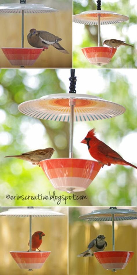 DIY Bird Feeders - Make Your Own Bird Feeder - Easy Do It Yourself Homemade Bird Feeder Ideas from Mason Jar, Wooden, Wine Bottle, Milk Jug, Plastic, Dollar Store Supplies - Squirrel Proof, Unique and Creative Tutorials That Make Cool DIY Gifts #diyideas #birds Tray Bird Feeder Diy, Diy Bird Table, Easy Bird Feeders For Kids To Make, Make Bird Feeders, Cool Diy Gifts, Homemade Bird Feeder, Bird Feeders For Kids To Make, Platform Bird Feeder, Wine Bottle Bird Feeder