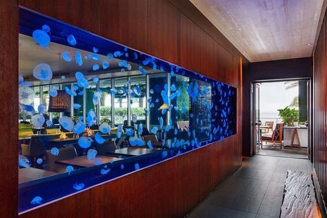 Having a mesmerized breakfast in front of 2,000 gallon jellyfish aquarium built by RAD Aquarium/Reef/Design/Home Big Aquarium Living Rooms, Jellyfish Tank Aquarium, Space Jellyfish, Pet Jellyfish, Aquarium Store, Jellyfish Tank, Custom Aquarium, Public Aquarium, Jellyfish Aquarium