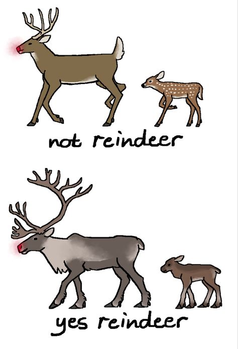 Anthro Reindeer, Deer Hybrid Oc, Reindeer Character Design, Deer Fursona, Deer Oc, Deer Character, Drawing Ideas Creative, Drawing Prompts, Creative Drawing Prompts