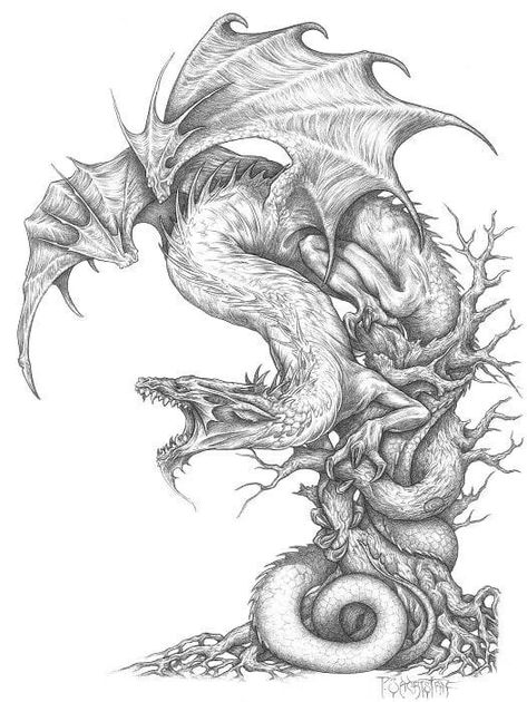 Flowers Mandala, Dragon Tattoo Art, Dragon Coloring Page, Dragon Sketch, Reference Art, Dragon Tattoo Designs, Dragon Pictures, Dragon Artwork, Dragon Drawing