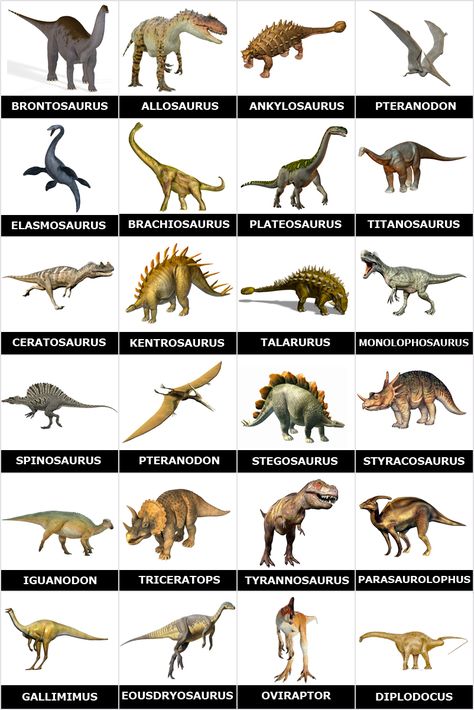 Free printable memory game with pictures of dinosaurs and their names. Simply print and cut it to make an original memory game homemade to play with family or friends Free Printable Dinosaur Pictures, Type Of Dinosaurs, Different Dinosaurs Names, Dinosaur Types For Kids, Dinosaur Identification Chart, Dinosaurs Names And Pictures, Names Of Dinosaurs, Dinosaur Types, Types Of Dinosaurs