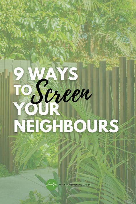 Corner House Privacy Ideas, Private Garden Ideas Privacy Screens, How To Add Privacy To Patio, Natural Screens Privacy Fences, Backyard Privacy Ideas From Neighbors Plants, Backyard Screens Privacy, Garden Screening Ideas From Neighbours, Screen Garden Ideas, Fence Cover Up Ideas