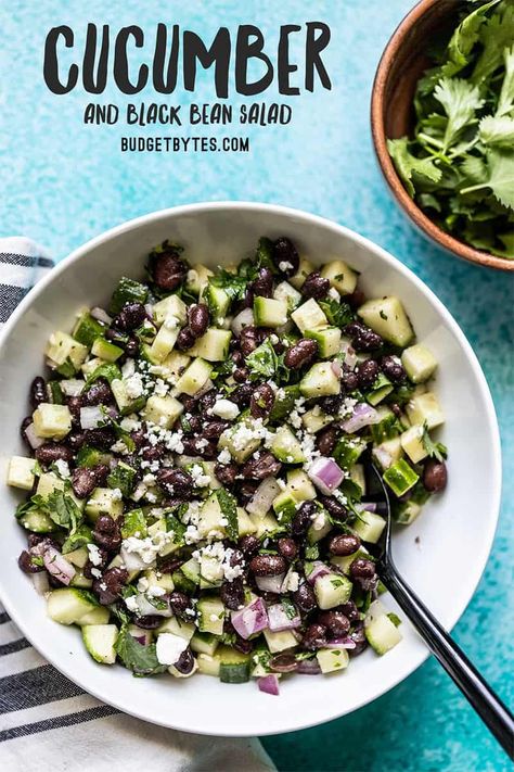 This light and fresh cucumber and black bean salad is the perfect summer sidedish. It is refrigerator stable so make it once and snack on it all week! Refrigerator Salads, Summertime Salads, Cucumber Salad Recipe, Fresh Cucumber, Summer Side Dish, Budget Bytes, Black Bean Salad, Couscous Salad, Summer Side Dishes