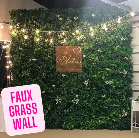 This artificial grass backdrop can be used to decorate outdoor areas or the interior of the room, aesthetically enhance your area with a realistic look to beautify and transform your patio, porch, privacy screens, wooden fencing, yard, backyard, walkways, home and office facade, wedding photography backdrop, stage backdrop and more. A prefect decoration of wall greenery.

#weddingdecor #artificialgrasswall #grasswall #greenerywall #weddingbackdrop #fauxgrasswall Faux Grass Wall Outdoor, Turf Backdrop Party Ideas, Faux Greenery Wall Outdoor, Grass Wall Restaurant, Fake Grass Backdrop, Turf Backdrop, Greenery Background Photo Backdrops, Grass Wall Backdrop With Neon Sign, Grass Patch Wall Decor