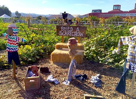 Scarecrow Games, Pumpkin Patch Business, Farmstand Ideas, Pumpkin Patch Diy, Pumpkin Patch Decoration, Pumpkin Walk, Pumpkin Patch Activities, Build A Scarecrow, Farm Market Ideas