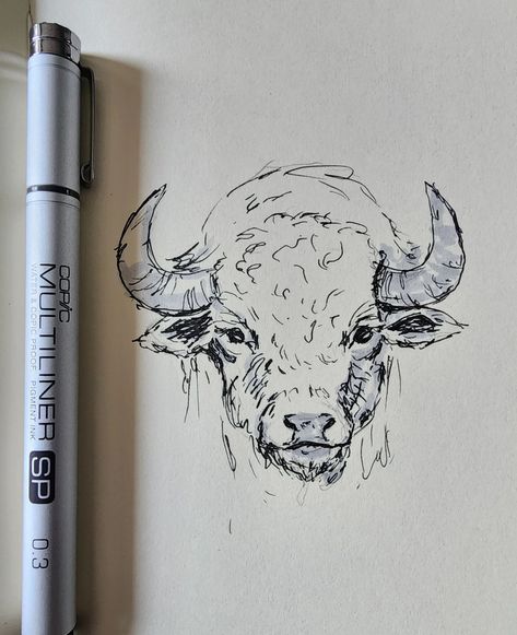 Bison - @dailysktchrefs reference #practicemakesprogress #animalalphabets @copic_official multiliner How To Draw A Bison, Bison Drawing, Art Idea, Animal Sketches, Copic, Tattoo Drawings, To Draw, Rush, Drawings