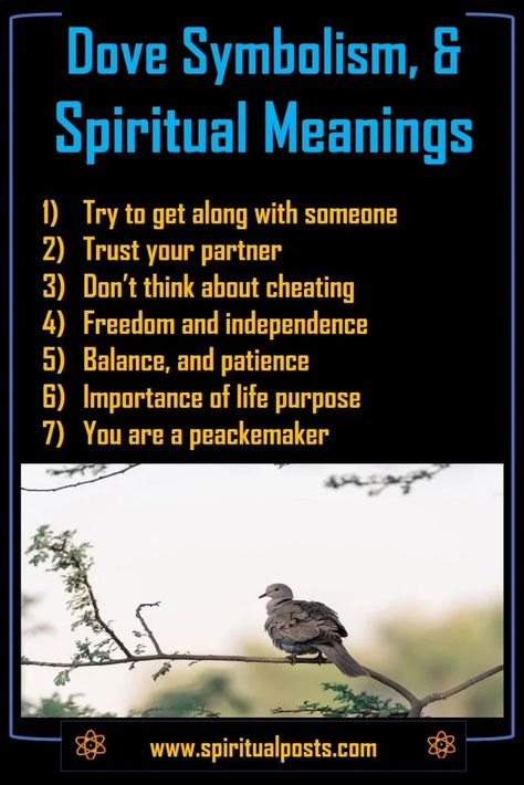 7 Spiritual Meanings of Dove & Symbolism (Visiting You!) 2 Dove Meaning, White Dove Spiritual Meaning, Turtle Dove Meaning, Spiritual Bird Meanings, Dove Spiritual Meaning, Spiritual Meaning Of Sparrow, Dove Symbolism, Spiritual Meaning, Life Purpose