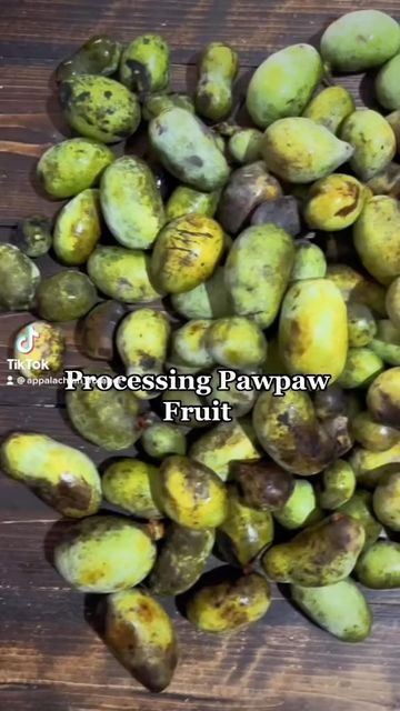 Pawpaw Jam Recipe, Appalachian Foraging, Appalachia Kentucky, Pawpaw Recipes, Pawpaw Fruit, Paw Paw Fruit, Paw Paw Tree, Fruit Tree Garden, Food Preserving