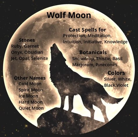 The full moon is January is known as the Wolf Moon. Learn about other names for the Wolf Moon and its magical correspondences. Full Wolf Moon Spells, Wolf Moon Correspondences, Wolf Moon January 2024, Wolf Moon Ritual 2024, Full Wolf Moon 2024, Pagan January, Wolf Moon Ritual, January Magick, Hello Witchling