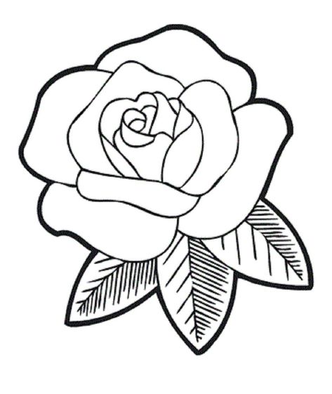 Rose Drawing Simple, Easy Pencil Drawings, Simple Flower Drawing, Lilies Drawing, Printable Flower Coloring Pages, Easy Cartoon, Rose Coloring Pages, Easy Flower Drawings, Rose Sketch