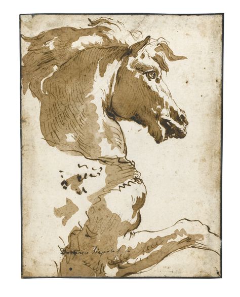 GIOVANNI DOMENICO TIEPOLO VENICE 1727 - 1804 STUDY OF A HORSE IN PROFILE Master Drawing, Horse Drawings, Old Master, Rembrandt, Ink Pen Drawings, Horse Painting, Horse Art, A Drawing, A Horse