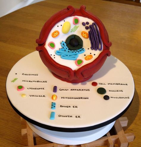 Biology Cell Cake This was done for a couple of High school Biology students as a thank you for their teacher! I used a 6 inch ball tin.... Cake For Biology Teacher, Cell Cakes Project, Cell Organelles Project Models, Cell Cake Project, Biology Cake, Animal Cell Cake, 3d Animal Cell Project, 3d Cell Project, Plant Cell Cake