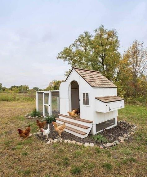 Cute Chicken Coops, Chicken Coop Garden, Backyard Chicken Coop Plans, Backyard Chicken Farming, Coop Design, Chicken Coop Designs, Farm Lifestyle, American Farmhouse, Chicken Garden