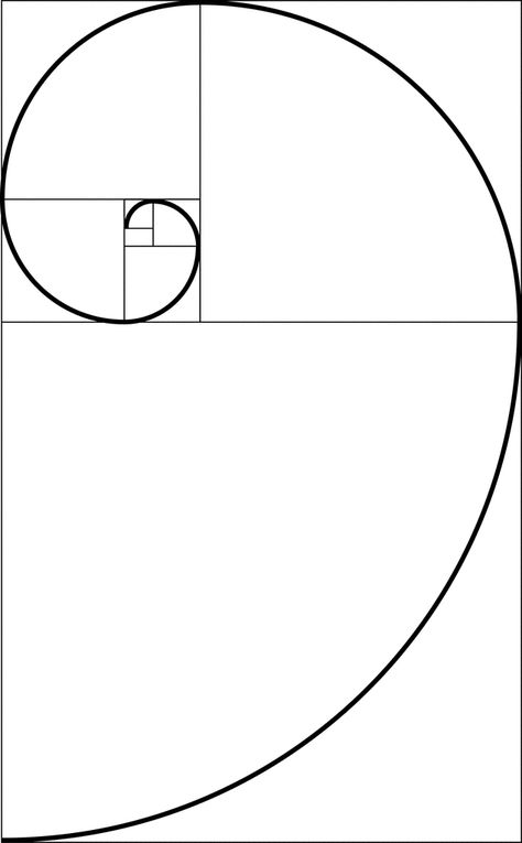 Fibonacci Spiral Art, Golden Ratio Tattoo, Golden Ratio Art, Fibonacci Art, Logarithmic Spiral, Fibonacci Golden Ratio, Golden Rectangle, Symbol Of Creation, Spiral Art