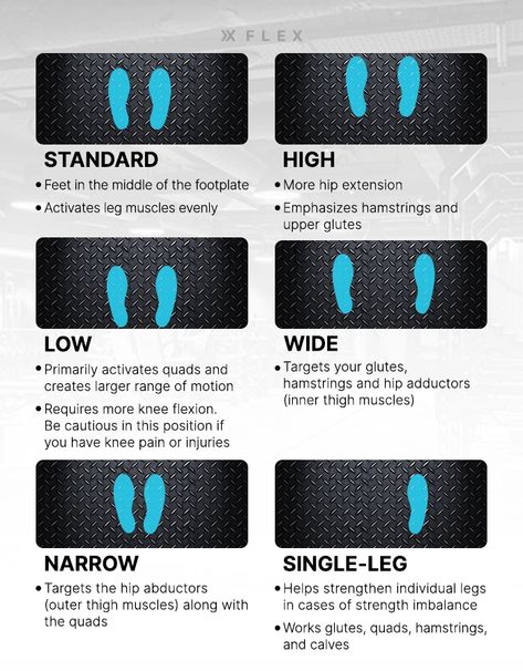 What is the Best Leg Press Foot Placement? Leg Press Positioning, Quad Focused Leg Press, Leg Press Glute Focus, Leg Press Variations, Glute Focused Leg Press, Seated Leg Press Foot Placement, Leg Press For Glutes, Quad Focused Exercises, Leg Press Foot Placement