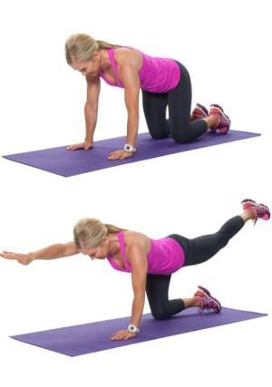 Research has shown that exercise can slow down the physiological aging clock; check out these 10 strength training moves for women over 50. - Chris Freytag Strength Training Women, Strength Training Routine, Bird Dog, Weight Training Workouts, Mental Training, Senior Fitness, Fitness Workout For Women, Women Over 50, Pilates Workout