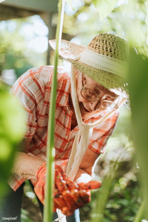 Senior woman tending to the plants in her garden | premium image by rawpixel.com / McKinsey Garden Senior Pictures, Grandmother Photography, Plant Person, Gardening Photography, In Her Garden, Environmental Portraits, House Portraits, Garden Photos, Documentary Photography