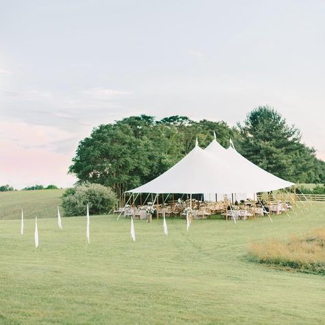 Blue Hill Farm Stunning Wedding Venues, Blue Hill, Unique Venues, Blue Ridge Mountains, Some Day, Historic Homes, Wine Country, The Farm, Future Wedding