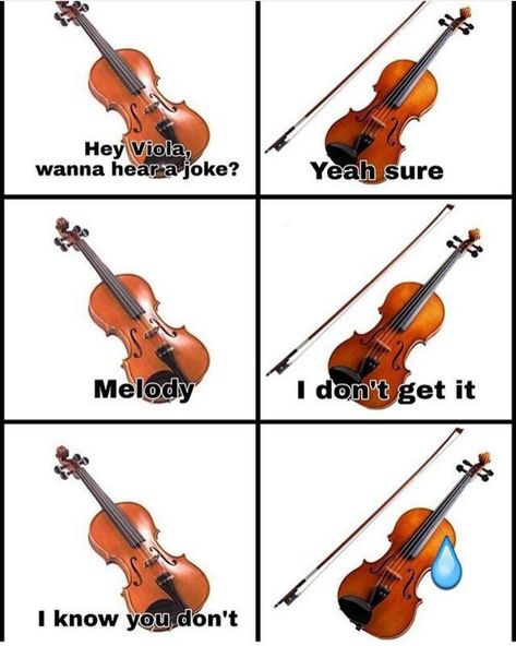 Orchestra Jokes, Viola Jokes, Orchestra Humor, Musician Memes, Musician Jokes, Two Set Violin, Meme Music, Viola Music, Musical Jokes