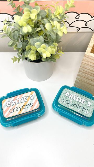 Ashley | Modern Classroom Decor on Instagram: "DIY Dollar Tree Container Labels✨ Label & organize your @dollartree containers with this step by step tutorial! 🤩 I love using these containers for @crayola crayons, Desk Pets, manipulatives, and MORE! 👏🏻 Quick recap: 1️⃣ Set PowerPoint slide dimensions to 8.5 inches x 11 inches 2️⃣ insert rounded rectangle shape 3️⃣ size shape to 2 inches x 3.3 inches 4️⃣ fill shape with an image or color 5️⃣ add a text box and type your text 6️⃣ Cut and print l Modern Classroom Decor, Desk Pets, Container Labels, Modern Classroom, Classroom Labels, Labels Diy, Crayola Crayons, Crayon Box, Rounded Rectangle