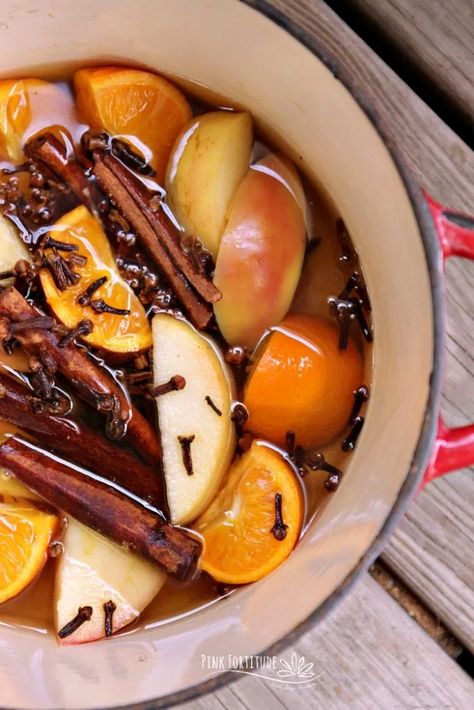 Fall Simmer Potpourri - Pink Fortitude, LLC Simmer Potpourri, Fall Recipe Ideas, Potpourri Diy, Easy Fall Recipes, Fall Potpourri, Simmer Pot Recipes, Simmering Potpourri, Potpourri Recipes, Simmer Pot