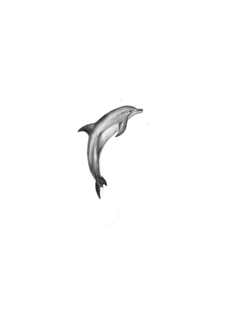 Realism Dolphin Tattoo, Dolphin Flash Tattoo, Fineline Dolphin Tattoo, Minimal Dolphin Tattoo, Matching Dolphin Tattoos, Two Dolphins Tattoo, Dolfin Drawings, Dolphin Tattoo Men, Fine Line Dolphin Tattoo