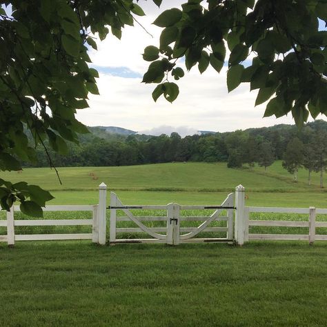 Marina Rust, White Fence Farm, A Soft Life, Farm Entrance, Country Fences, Horse Fencing, White Fence, Farm Fence, Virginia Homes