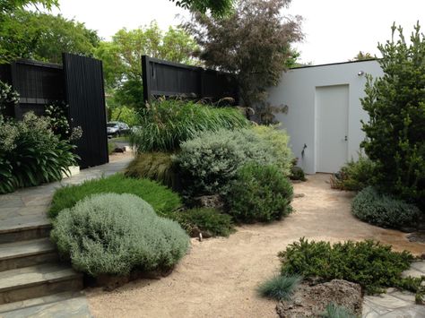 Front entrance to Cameron Paterson's Australian garden Australian Native Garden, Front Garden Design, Dry Garden, Australian Garden, Coastal Gardens, Low Maintenance Landscaping, Have Inspiration, Low Maintenance Garden, Mediterranean Garden