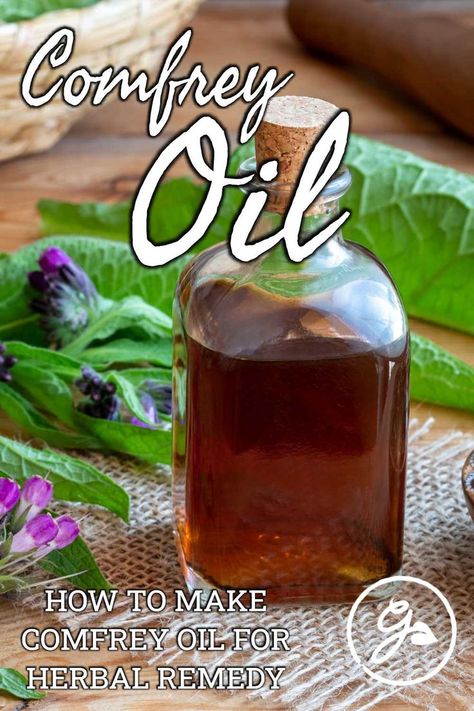 Comfrey Oil How To Make, Comfrey Infused Oil, Comfrey Tincture Recipe, Comfrey Oil Benefits, Comfrey Uses, Comfrey Recipes, Comfrey Tincture, Comfrey Benefits, Comfrey Salve Recipe