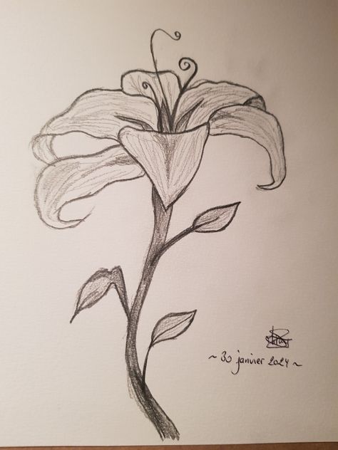 Fairy Flower Drawing, Lilly Flower Drawing, Magical Drawings, Vine Drawing, Lilies Drawing, Easy Disney Drawings, Pencil Drawings Of Flowers, Flower Art Drawing, Canvas Drawings