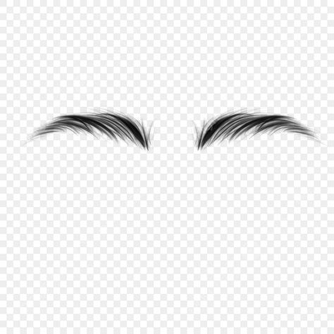 Eyebrow Png, Ideal Eyebrows, Eyebrow Images, Black Eyebrow Pencil, Eyes Clipart, Curved Eyebrows, Eyebrows Microblading, Black Eyebrows, Shadow Drawing