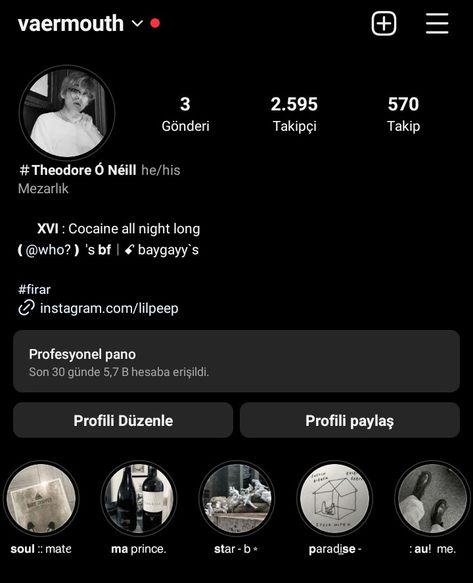 Vaermouth on ig Rp Account Profile, Rp Bio, Rp Account, Aesthetic Apps Games, Aesthetic Apps, Noah Centineo, Cute Home Screen Wallpaper, Ig Bio, Aesthetic Core