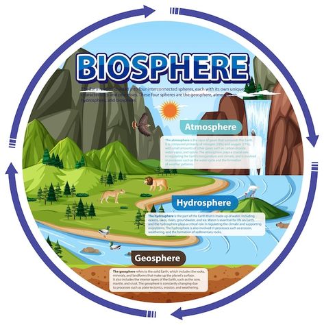 Biosphere ecology infographic for learni... | Free Vector #Freepik #freevector #earth-illustration #cartoon-earth #science-cartoon #geography Earth Subsystems Poster, 4 Subsystems Of The Earth, Subsystems Of The Earth, Biosphere Ecosystem, Biosphere Project, Ecology Infographic, Lab Poster, Cartoon Earth, Science Infographics