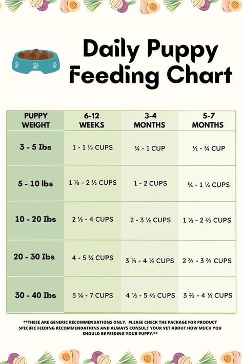 So you have a puppy and are wondering exactly how much food you should be feeding them. The exact age and weight of your puppy will affect exactly how much you should feed them. Puppy Food Amount Chart, What To Feed Puppies, Puppy Diet Plan, Puppy Eating Schedule, How Much To Feed A Puppy, Puppy Food Toppers, Puppy Training Schedule By Age, Puppy Feeding Chart, Puppy Feeding Guide