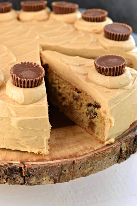 Reese Peanut Butter Cake, Peanut Butter Cake Recipe, Sully Cake, Peanut Butter Sheet Cake, Cake Recipe Easy, Shugary Sweets, Peanut Butter No Bake, Peanut Butter Sauce, Butter Cake Recipe