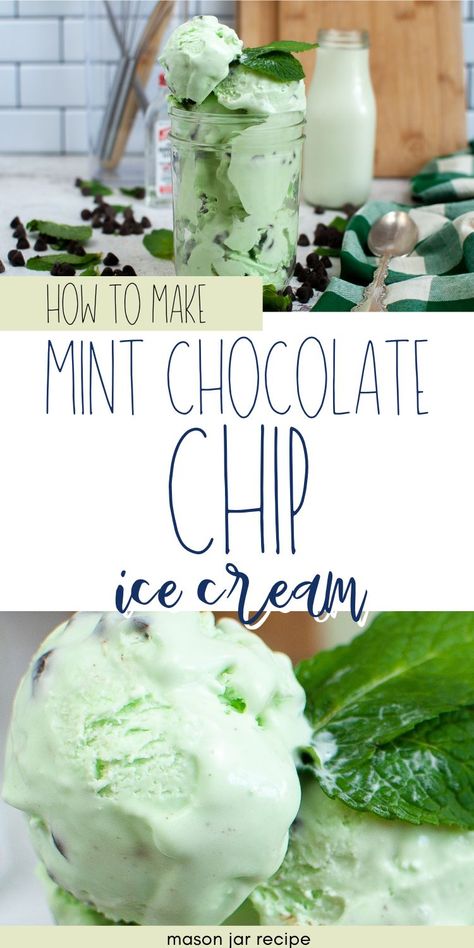 Best Mint Chocolate Chip Ice Cream Mint Chip Ice Cream Recipe, Ice Cream Mason Jars, Ice Cream Mint, Mason Jar Recipe, Mint Chocolate Ice Cream, Mint Chip Ice Cream, Jar Recipes, Mint Chocolate Chip Ice Cream, Cookie Dough Ice Cream