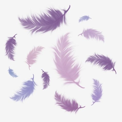 Floating Feather, Feather Clipart, Birds Feathers, Wings Drawing, Purple Gradient, Purple Feather, Geometric Textures, Graphic Design Background Templates, Purple Roses