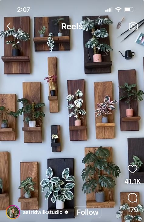 Creative Plant Shelves, Plant Wall Shelf Ideas Living Room, 2×4 Diy, Wooden Pots For Plants, Bedroom Wood Decor, Plant Wall Shelves, Diy Wood Plant Stand, Hall Decor Ideas, Plants In Living Room