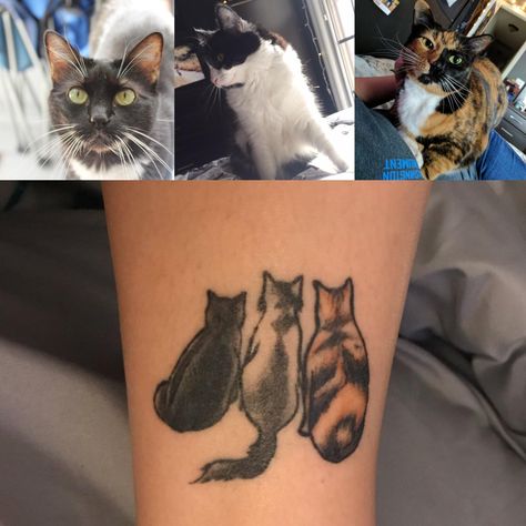 My babies will always be a part of me Cat Tattoo Designs 3 Cats, Cat Trio Tattoo, 3 Cat Tattoo Ideas, Multi Cat Tattoo, Three Cat Tattoo Design, Multiple Cat Tattoo, Tortie Cat Tattoo, Three Cats Tattoo, 3 Cat Tattoo